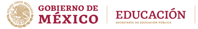 Gobierno de México y Educación